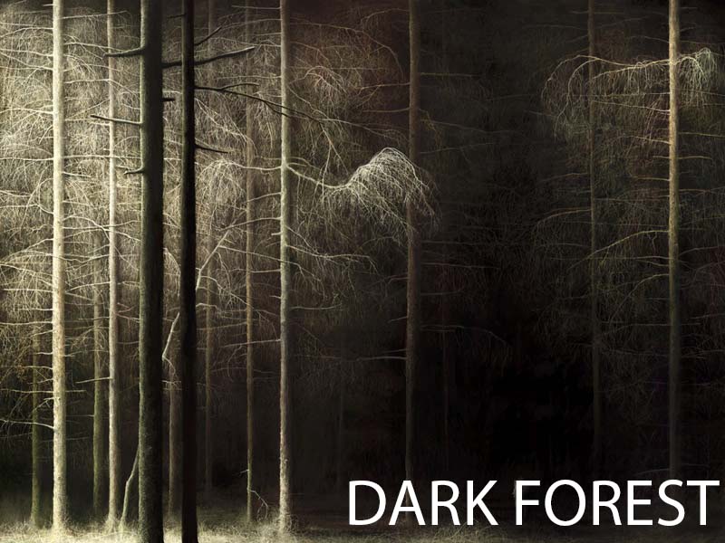 Dark forest
